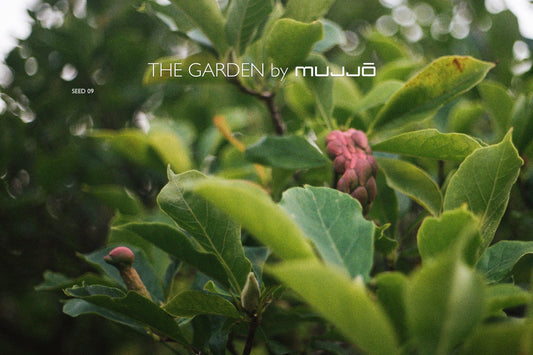 SEED 09: THE SLOW RUSH